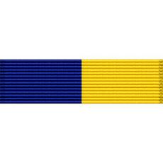 Delaware National Guard Medal Ribbon